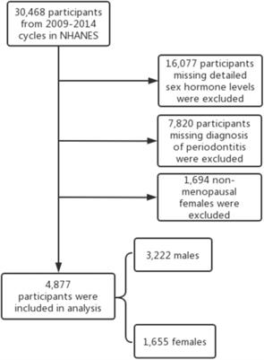 The association between sex hormones and periodontitis among American adults: A cross-sectional study